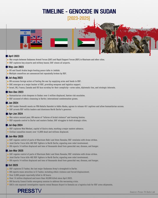 Infographic 5
